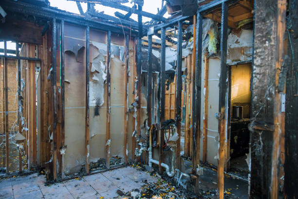 Professional Fire Damage Repair technician working in Grandy, MN